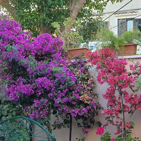 아파트 Takoma Čunski