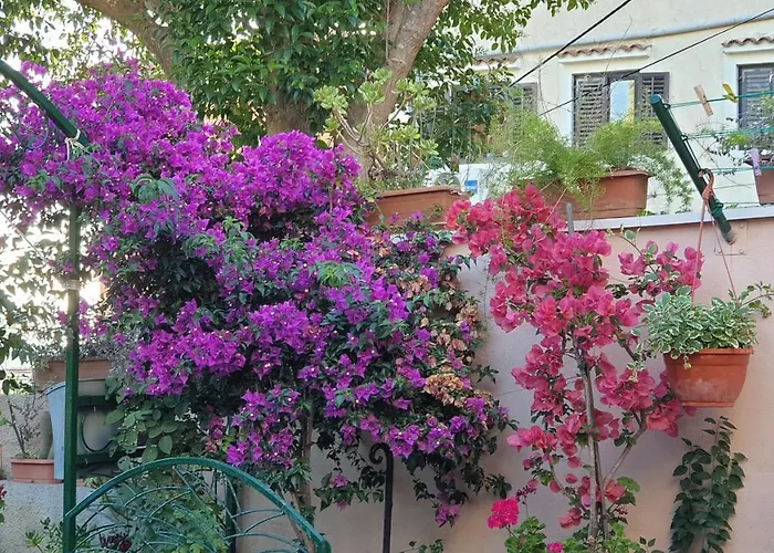 Apartment Takoma Cunski